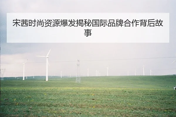 宋茜时尚资源爆发揭秘国际品牌合作背后故事